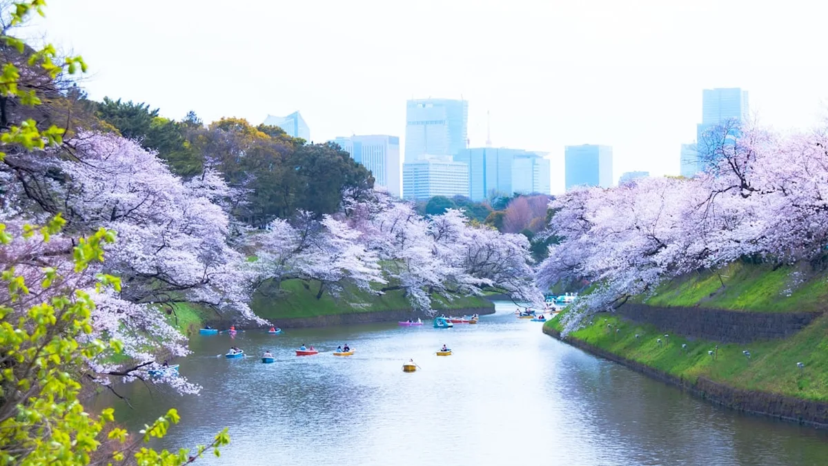 4 beaux parcs de tokyo a visiter durant un sejour au japon — 4 beaux parcs de Tokyo à visiter durant un séjour au Japon